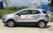 Cần bán Ford EcoSport Titanium năm 2018, màu bạc còn mới