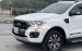 Cần bán lại xe Ford Ranger Wildtrack năm sản xuất 2019, màu trắng