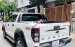 Xe Ford Ranger Wildtrak  3.2 năm 2018, màu trắng, xe nhập còn mới