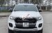 Cần bán lại xe Ford Ranger Wildtrack năm sản xuất 2019, màu trắng