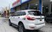 Bán Ford Everest 4x2 AT năm 2020, màu trắng