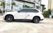 Cần bán xe BMW X5 xDrive35i sản xuất 2019, màu trắng, xe nhập