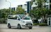 Cần bán Ford Tourneo Titanium năm sản xuất 2021