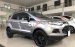 Cần bán xe Ford EcoSport Titanium 1.5AT sản xuất năm 2016, màu xám