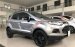 Cần bán gấp Ford EcoSport Titanium 1.5L AT năm 2016 số tự động, giá chỉ 425 triệu
