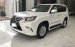 Bán chiếc Lexus GX460 Xuất Mỹ đẹp nhất Việt Nam. Xe sản xuất 2015 đăng ký 2017 một chủ từ đầu