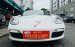 Delux Cars Porsche Boxster Coupe 2009