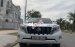 Bán Toyota Land Cruiser Prado TXL năm 2014, màu trắng, nhập khẩu 