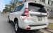 Bán Toyota Land Cruiser Prado TXL năm 2014, màu trắng, nhập khẩu 