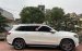 Cần bán Mercedes GLS 500 4Matic 4.7 V8 đời 2021, màu trắng, xe nhập như mới