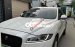 Jaguar F-Pace 3.0 Super Changer 26811
