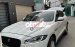 Jaguar F-Pace 3.0 Super Changer 26811