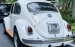 Volkswagen Beetle 2022