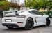 Porsche Cayman 2020