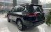 Luôn có xe mới  Toyota Land Cruiser LC300 2023, màu đen, xe nhập