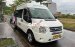 ford transit luxury
