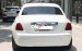 Bán Rollroyce Ghost EWB model 2017