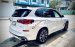 BMW X5 M Sport 2021 Nhập Mỹ