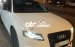 Audi A4 BSTP vip 08883.trắng carmay.đăng kiểm 2024
