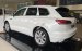 Volkswagen Touareg Luxury 2023 - Hỗ trợ 100% phí trước bạ + Kèm khuyến mãi tiền mặt lên tới 100Tr