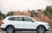 Volkswagen Tiguan Elegance 2023 ưu đãi khủng·