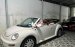 volkswagen new beetle 2005 bstp nhà sử dụng