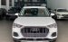 Bán xe Audi Q3 2023 màu Trắng nhập khẩu chính hãng mới 100%, tặng 2 năm bảo hiểm thân vỏ
