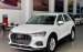 Bán xe Audi Q3 2023 màu Trắng nhập khẩu chính hãng mới 100%, tặng 2 năm bảo hiểm thân vỏ