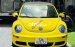 Volkswagen New Beetle Model 2008 Màu Vàng Cực Đẹp