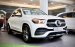 MERCEDES-BENZ GLE450 4Matic 2023 