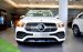 MERCEDES-BENZ GLE450 4Matic 2023 