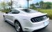 Ford Mustang Premium 2.3 bản Fifty - five year 2020 .Nhập mỹ nguyên chiếc.