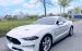 Ford Mustang Premium 2.3 bản Fifty - five year 2020 .Nhập mỹ nguyên chiếc.