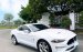 Ford Mustang Premium 2.3 bản Fifty - five year 2020 .Nhập mỹ nguyên chiếc.