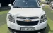 Chính chủ bán xe CHEVROLET ORLANDO LTZ sản xuất năm 2017 