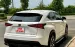 Lexus NX300 - 2020 - 39.000 Km