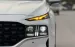 BÁN XE HYUNDAI SANTA-FE  2.5AT 2022 - GIÁ : 978 TRIỆU.