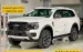 Tiền Giang FORD Ford Everest, Ranger, Raptor,stormtrak,Platium