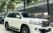 Toyota Land Cruiser 5.7 nhập Mỹ, sản xuất 2016, xe cực mới.