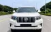 Nhập đội: TOYOTA PRADO 2.7VX 2018 fom mới 