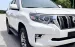 Nhập đội: TOYOTA PRADO 2.7VX 2018 fom mới 