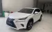 Chính chủ bán Lexus NX300 mode 2019, sơn zin cả xe, full lịch sử hãng