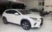 Chính chủ bán Lexus NX300 mode 2019, sơn zin cả xe, full lịch sử hãng