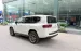 Bán Toyota Land Cruiser LC300, model 2022, tên công ty, biển Hà Nội.