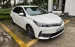 Toyota Corolla Altis 2019 1.8G CVT - 45000 km- 549 triệu