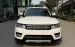 Bán Range Rover Sport Autobiography 3.0L, 07 chỗ, sản xuất 2013.