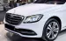 Mercedes  S450L Màu trắng / nội thất nâu 