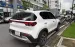 Kia Sonet Premium 1.5