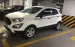 Cần bán Ford EcoSport Ambiente 1.5AT – đời 2019
