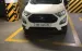 Cần bán Ford EcoSport Ambiente 1.5AT – đời 2019